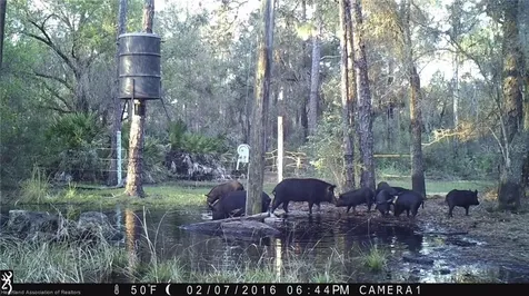 17470 County Road 731 Venus FL 33960