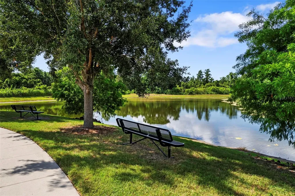 11213 Moultrie Place Tampa FL 33625