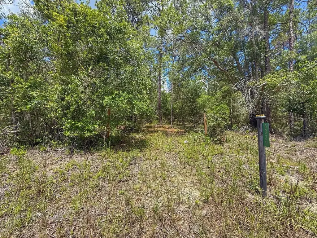6339 NW 17th Court Bell FL 32619
