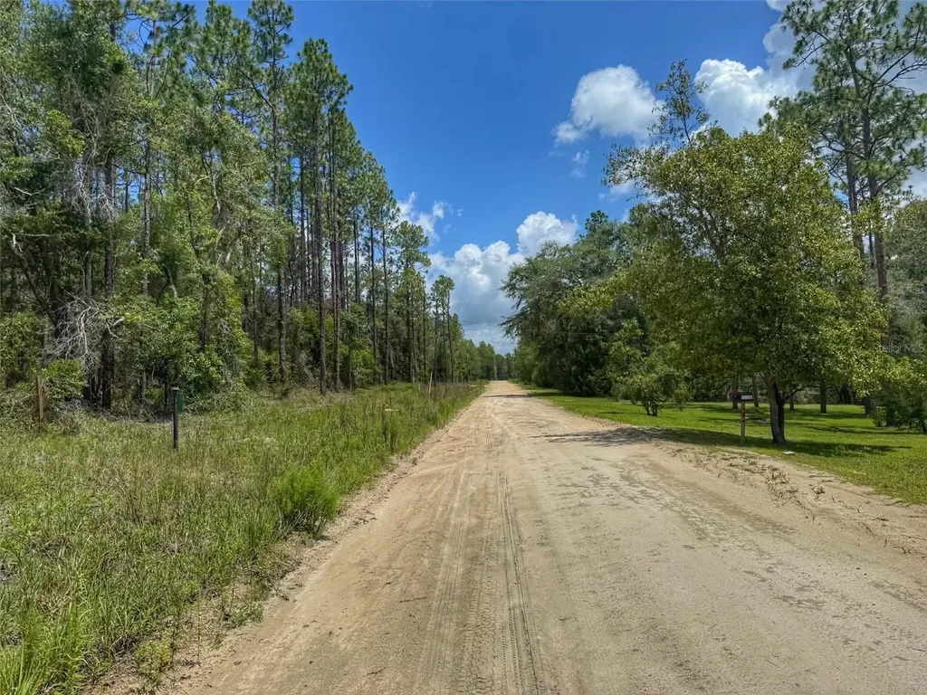 6339 NW 17th Court Bell FL 32619