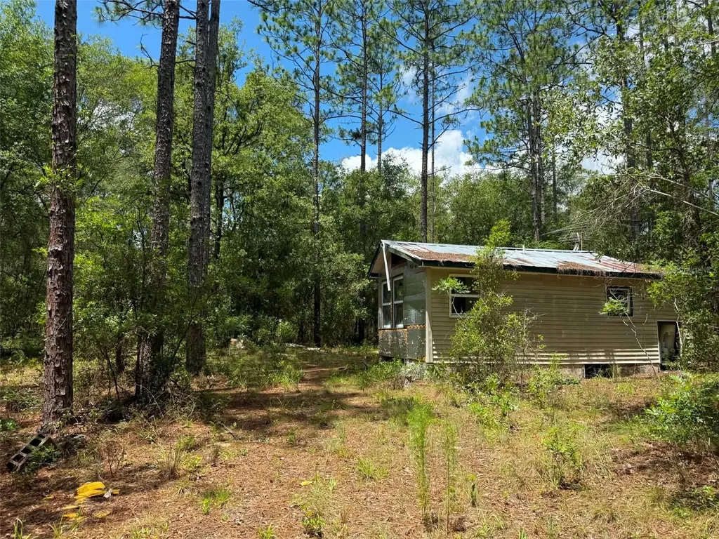 6339 NW 17th Court Bell FL 32619