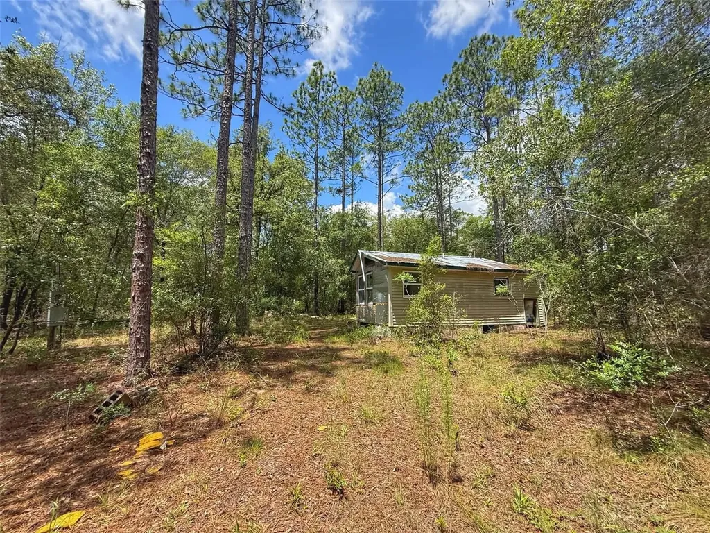 6339 NW 17th Court Bell FL 32619