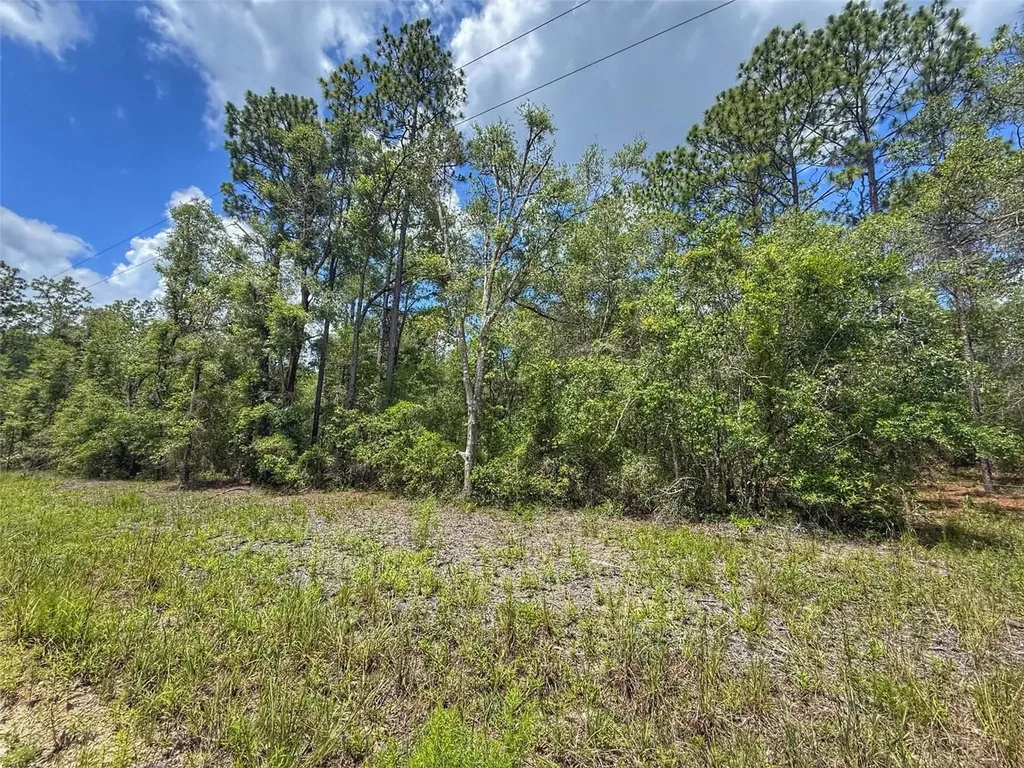 6339 NW 17th Court Bell FL 32619