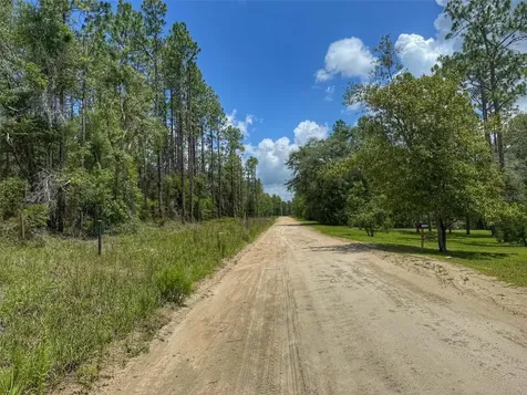 6339 NW 17th Court Bell FL 32619