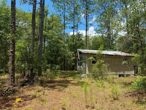 6339 NW 17th Court Bell FL 32619