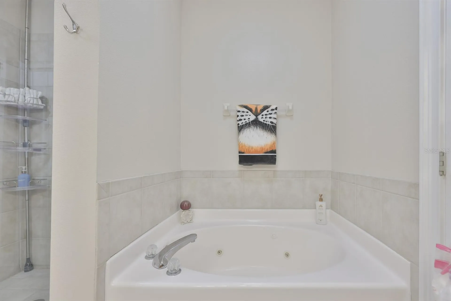 6432 Sunset Bay Circle Apollo Beach FL 33572