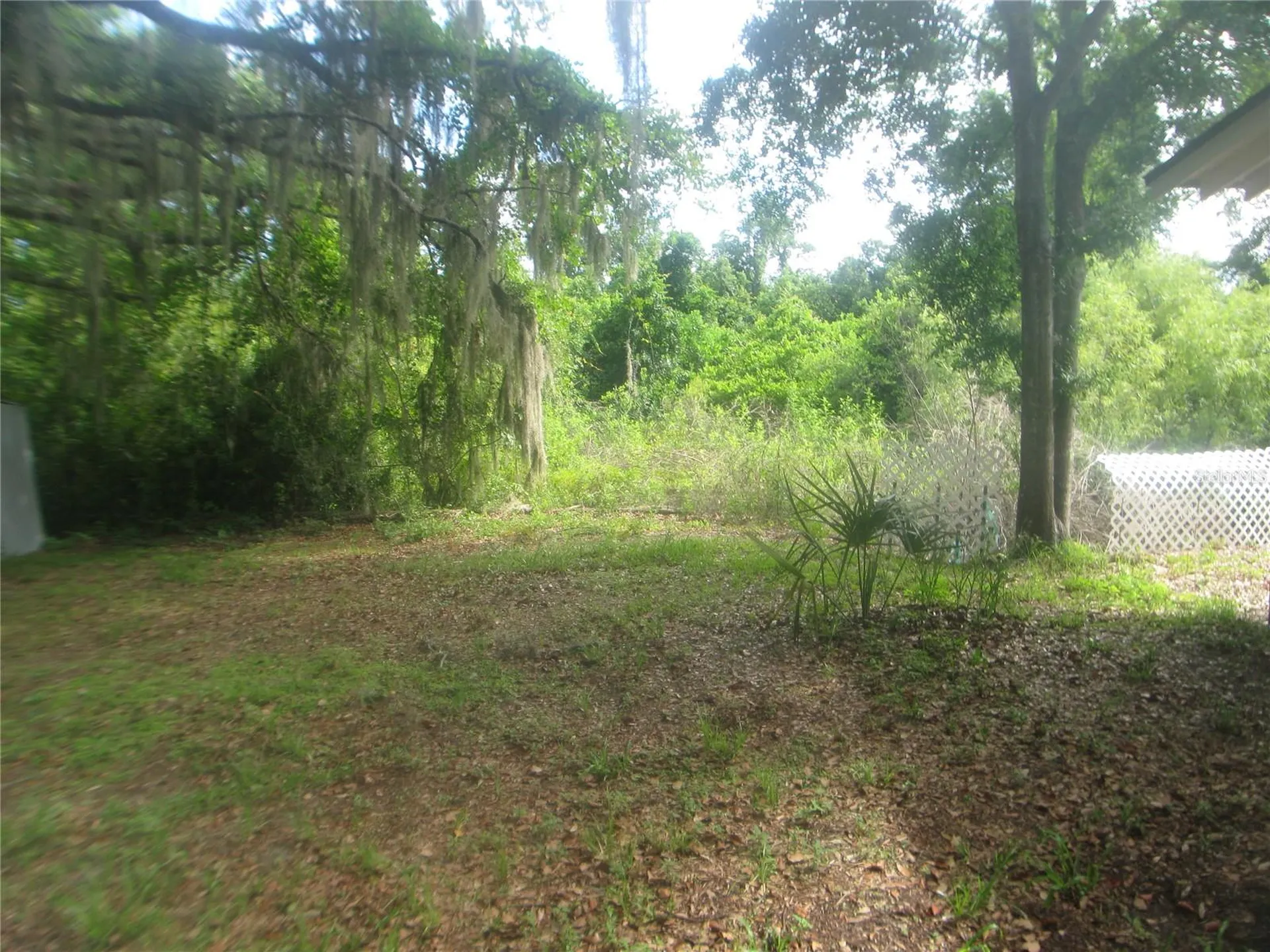 4847 Eagles Nest Road Fruitland Park FL 34731