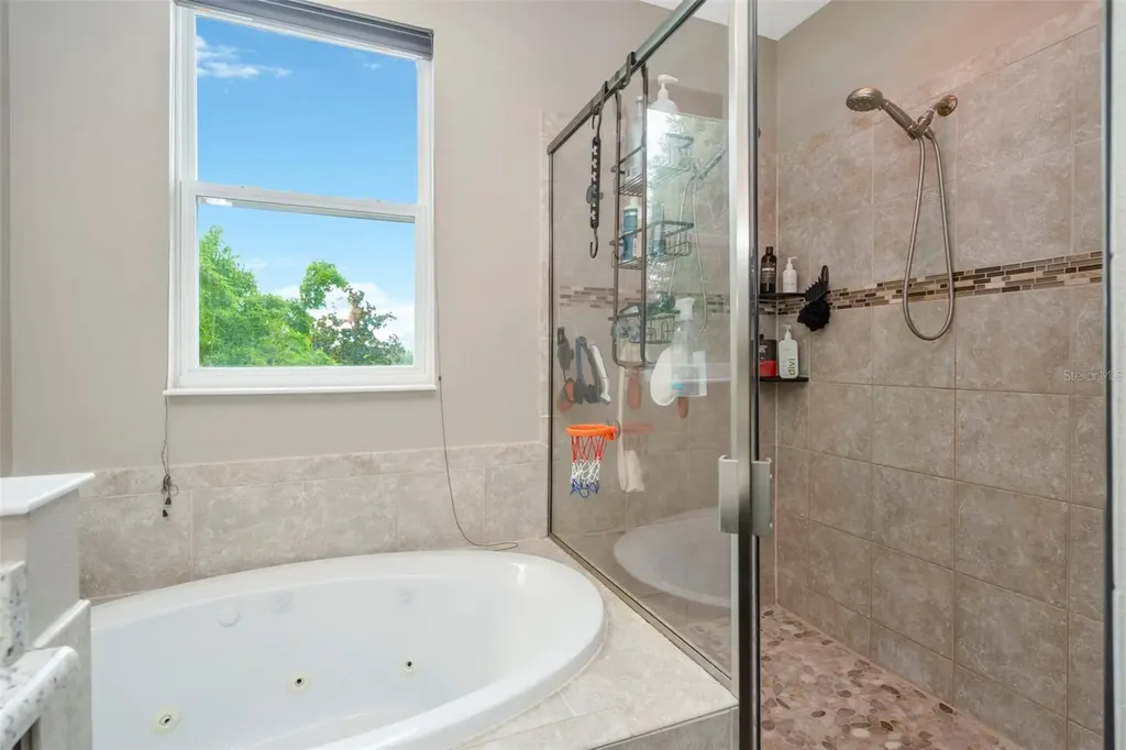 32630 Coldwater Creek Loop Wesley Chapel FL 33545