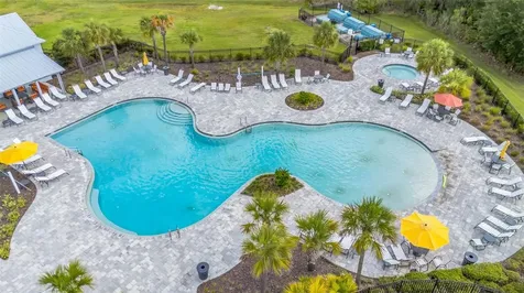 32630 Coldwater Creek Loop Wesley Chapel FL 33545