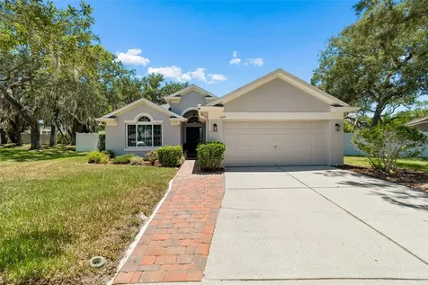 11129 Bridgecreek Drive Riverview FL 33569