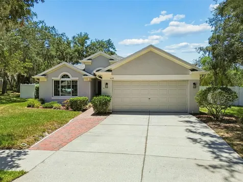 11129 Bridgecreek Drive Riverview FL 33569