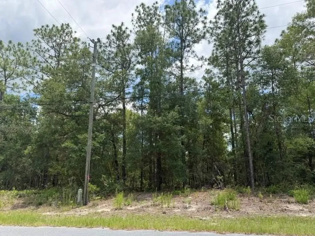 1982 W Roseboro Drive Dunnellon FL 34434