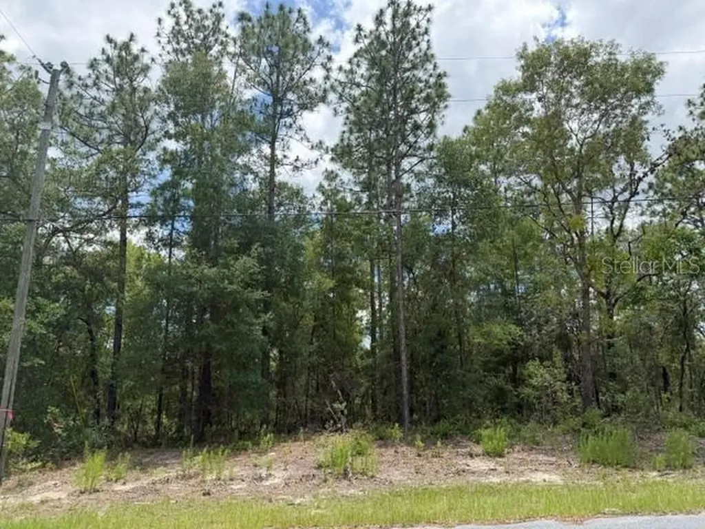 1982 W Roseboro Drive Dunnellon FL 34434