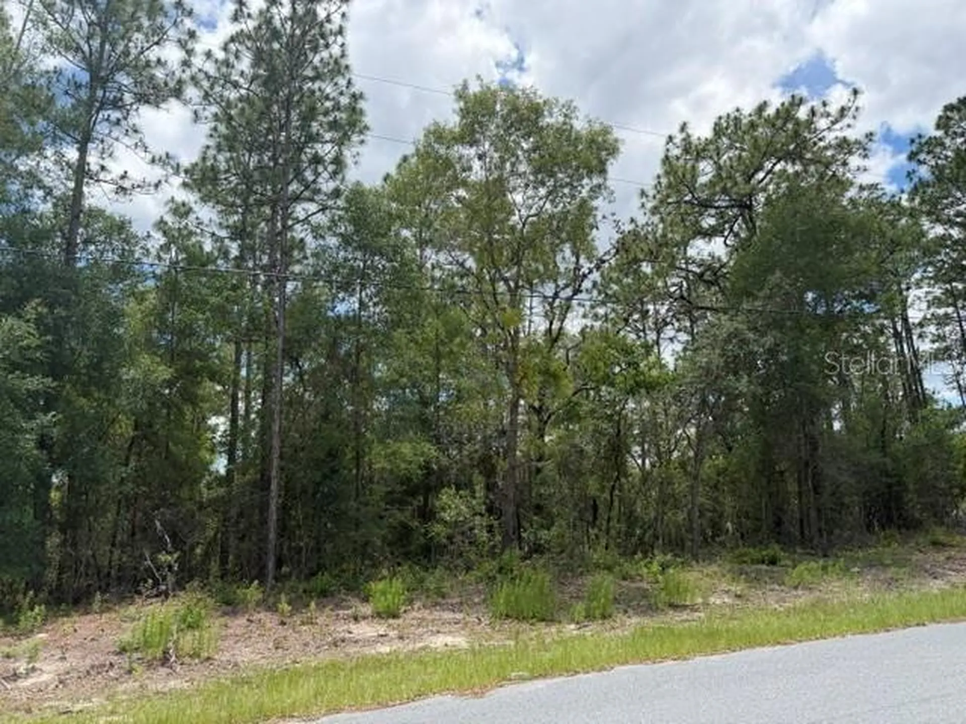 1982 W Roseboro Drive Dunnellon FL 34434