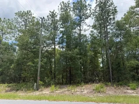 1982 W Roseboro Drive Dunnellon FL 34434