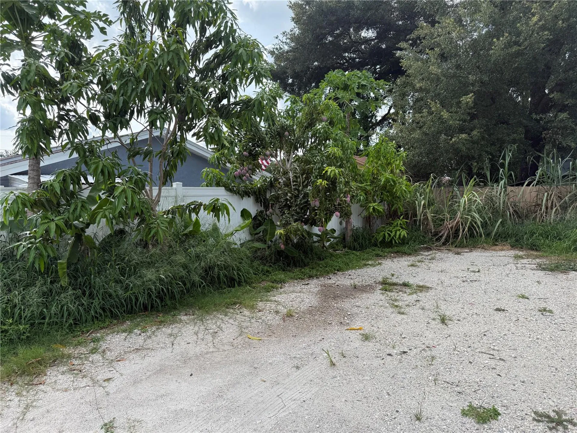 6718 Donald Avenue Tampa FL 33614