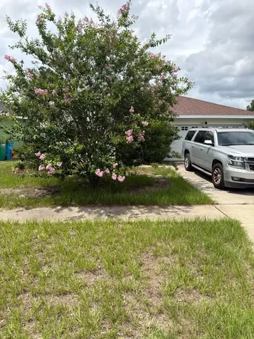 24906 NW 202nd Lane High Springs FL 32643
