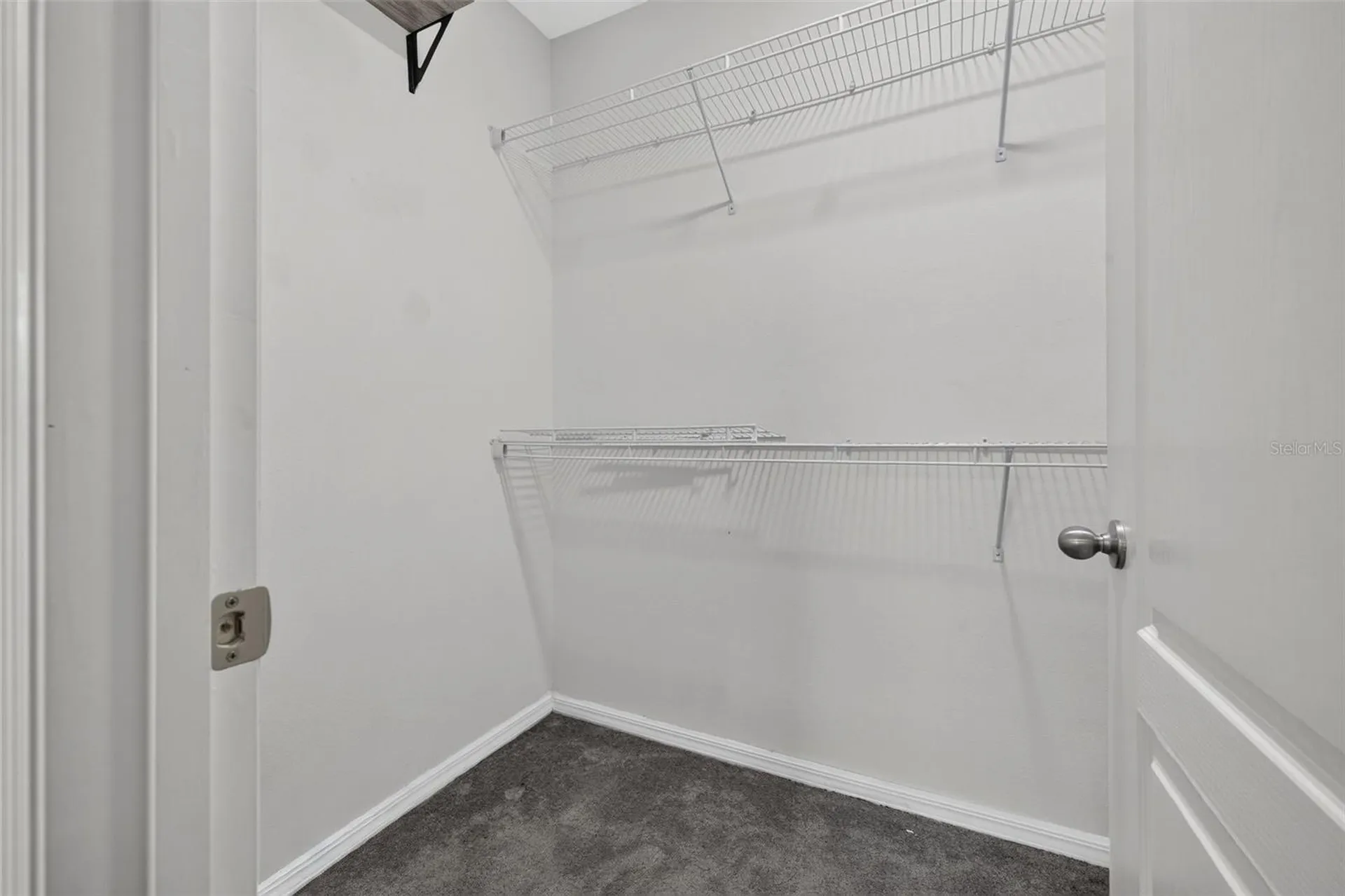 6479 Grapewood Road Spring Hill FL 34609