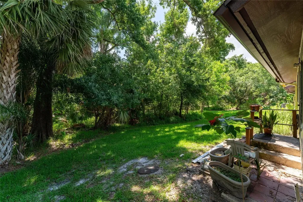2917 Fig Court Palm Harbor FL 34684