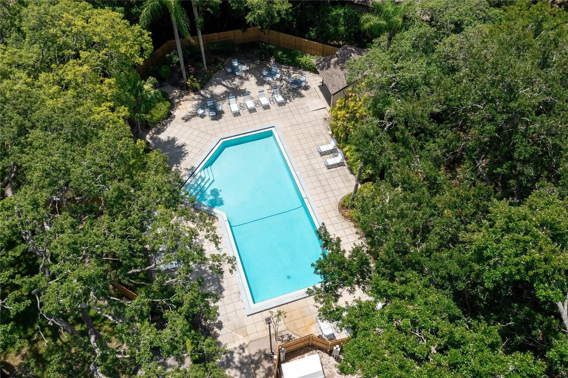 2917 Fig Court Palm Harbor FL 34684