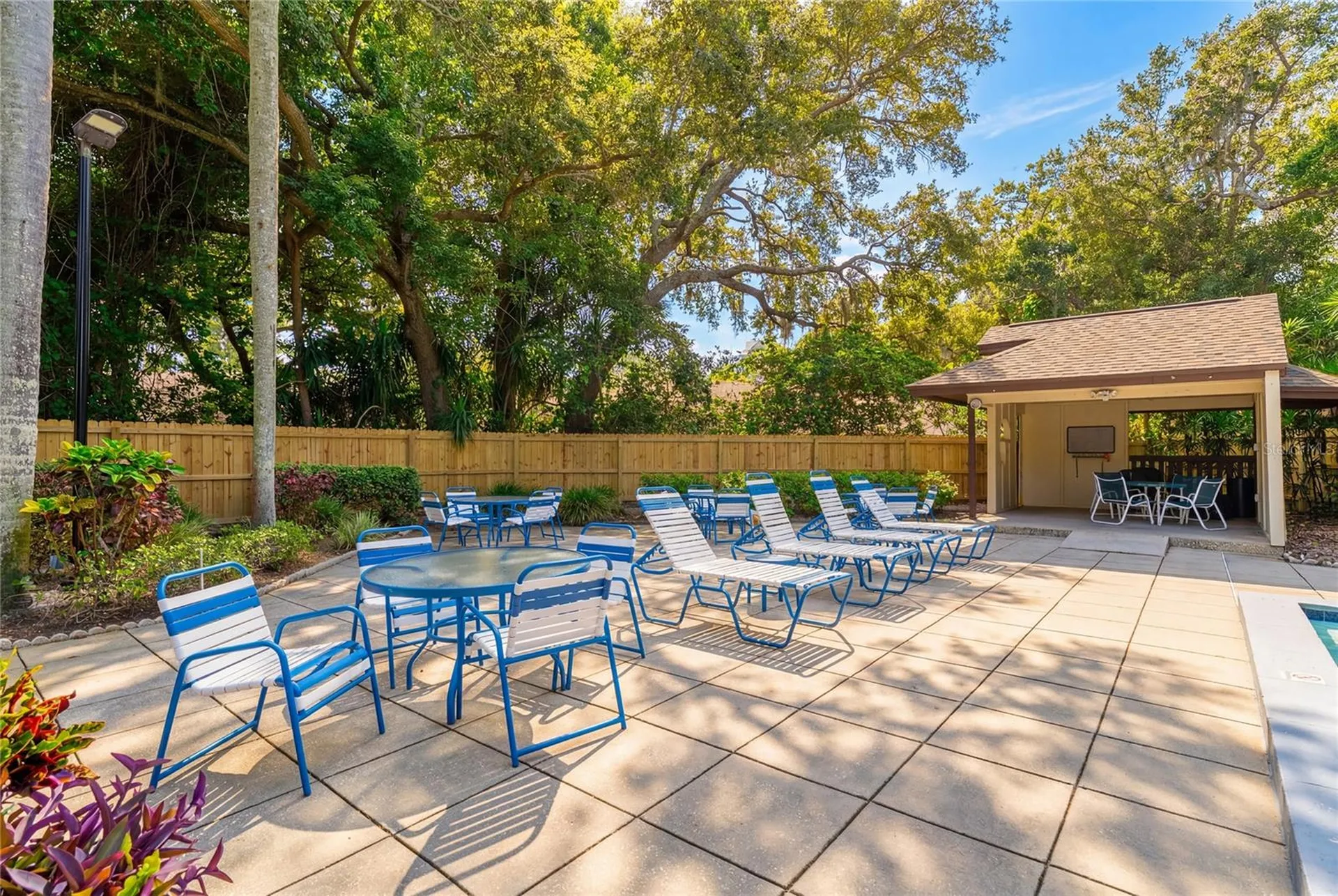 2917 Fig Court Palm Harbor FL 34684
