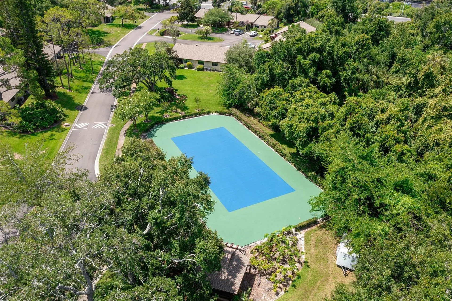 2917 Fig Court Palm Harbor FL 34684