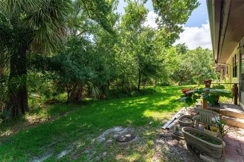 2917 Fig Court Palm Harbor FL 34684