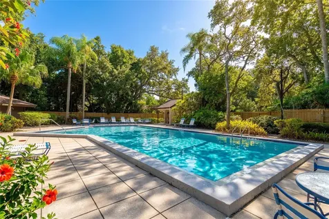 2917 Fig Court Palm Harbor FL 34684
