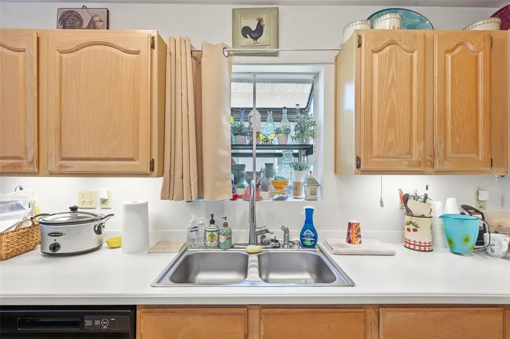 1469 Riverdale Drive Oldsmar FL 34677