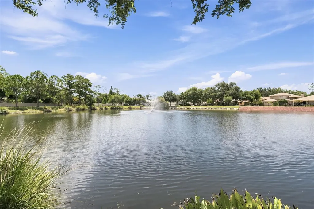 1469 Riverdale Drive Oldsmar FL 34677