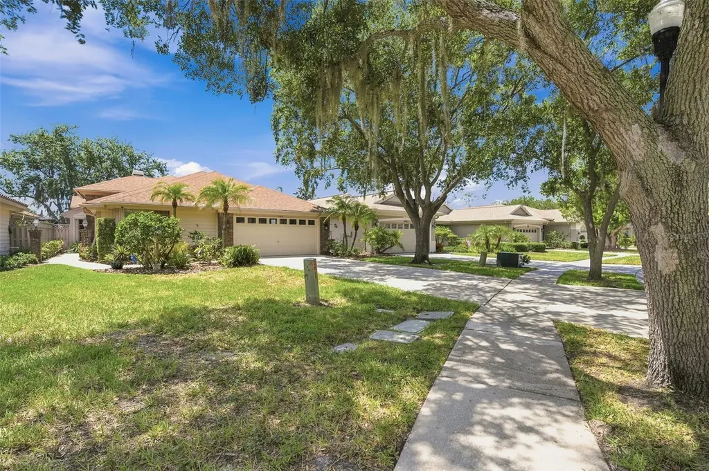 1469 Riverdale Drive Oldsmar FL 34677