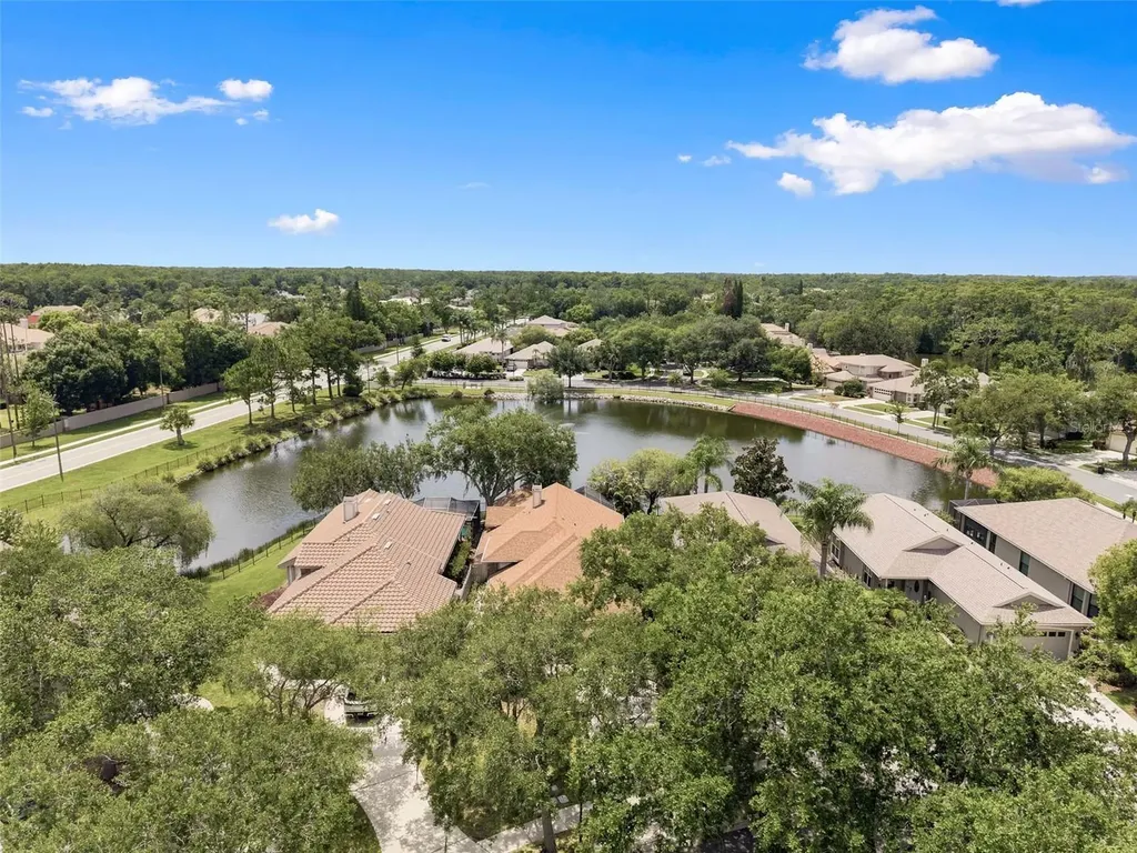 1469 Riverdale Drive Oldsmar FL 34677