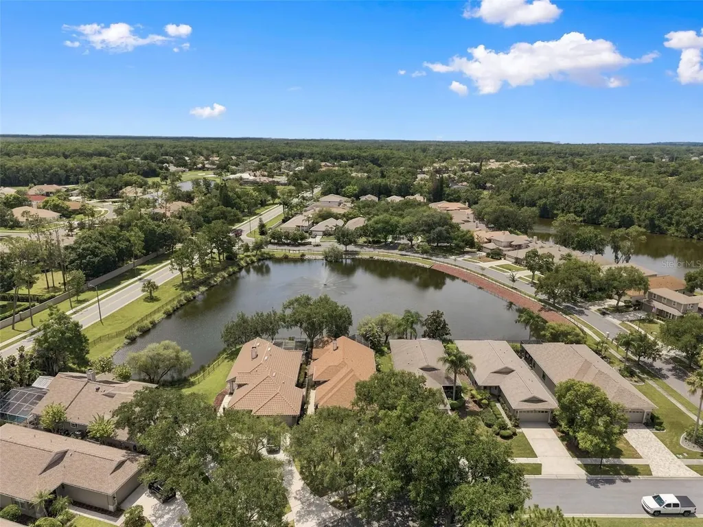 1469 Riverdale Drive Oldsmar FL 34677