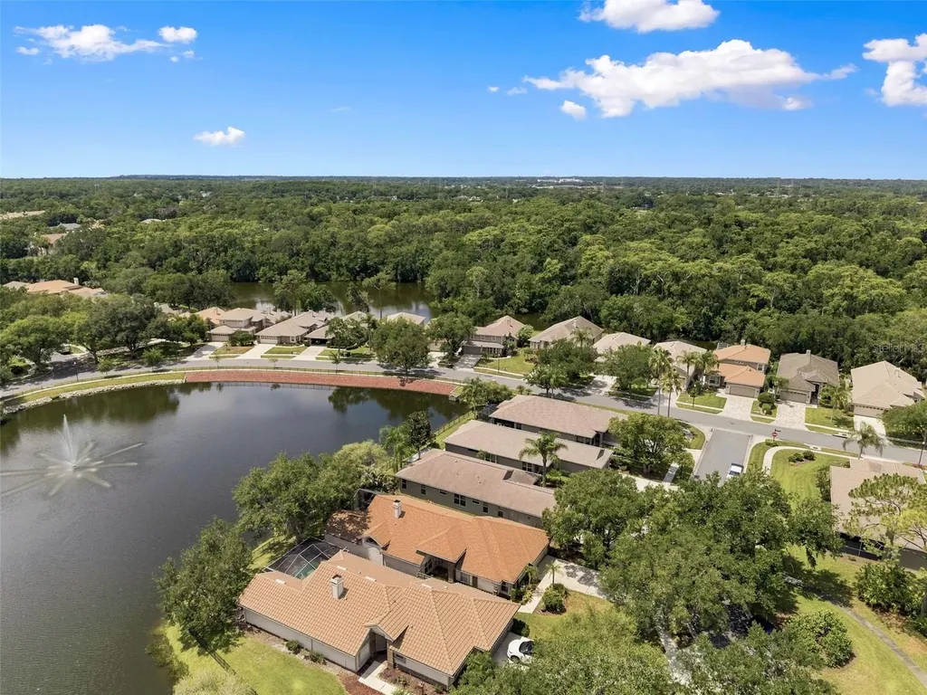 1469 Riverdale Drive Oldsmar FL 34677