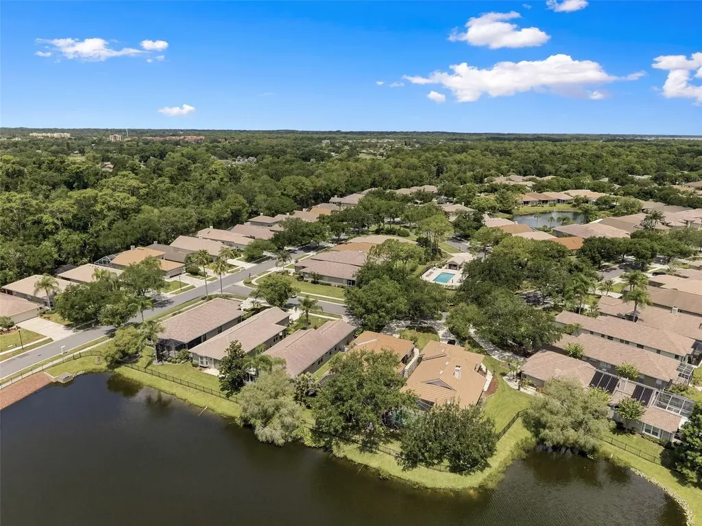 1469 Riverdale Drive Oldsmar FL 34677