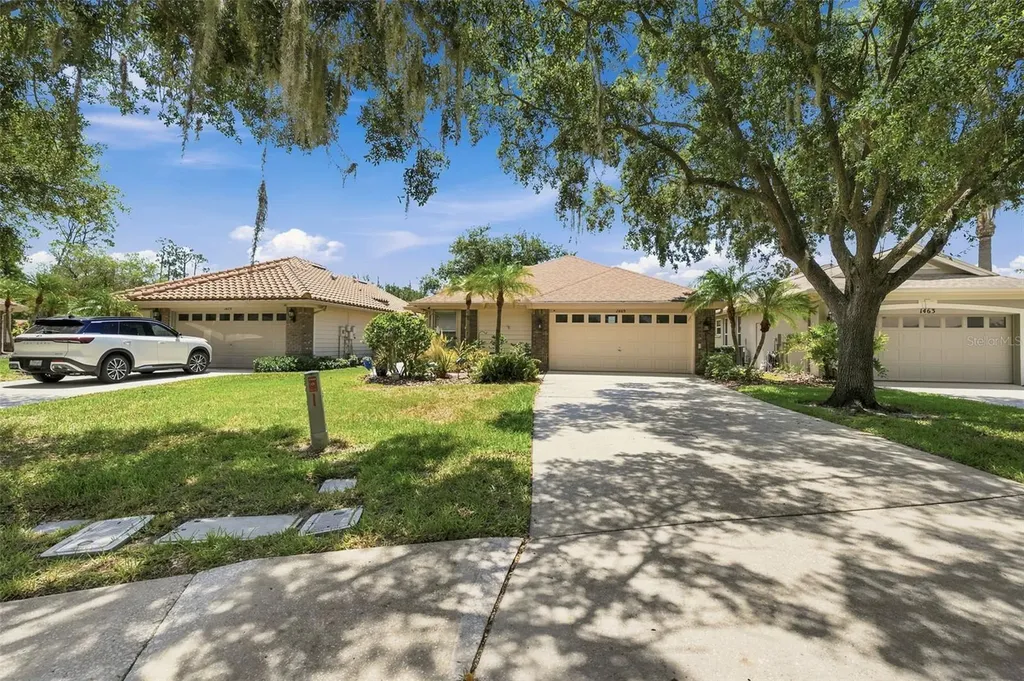 1469 Riverdale Drive Oldsmar FL 34677
