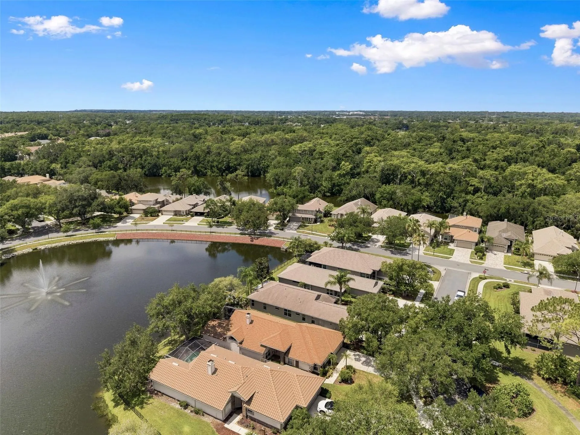 1469 Riverdale Drive Oldsmar FL 34677