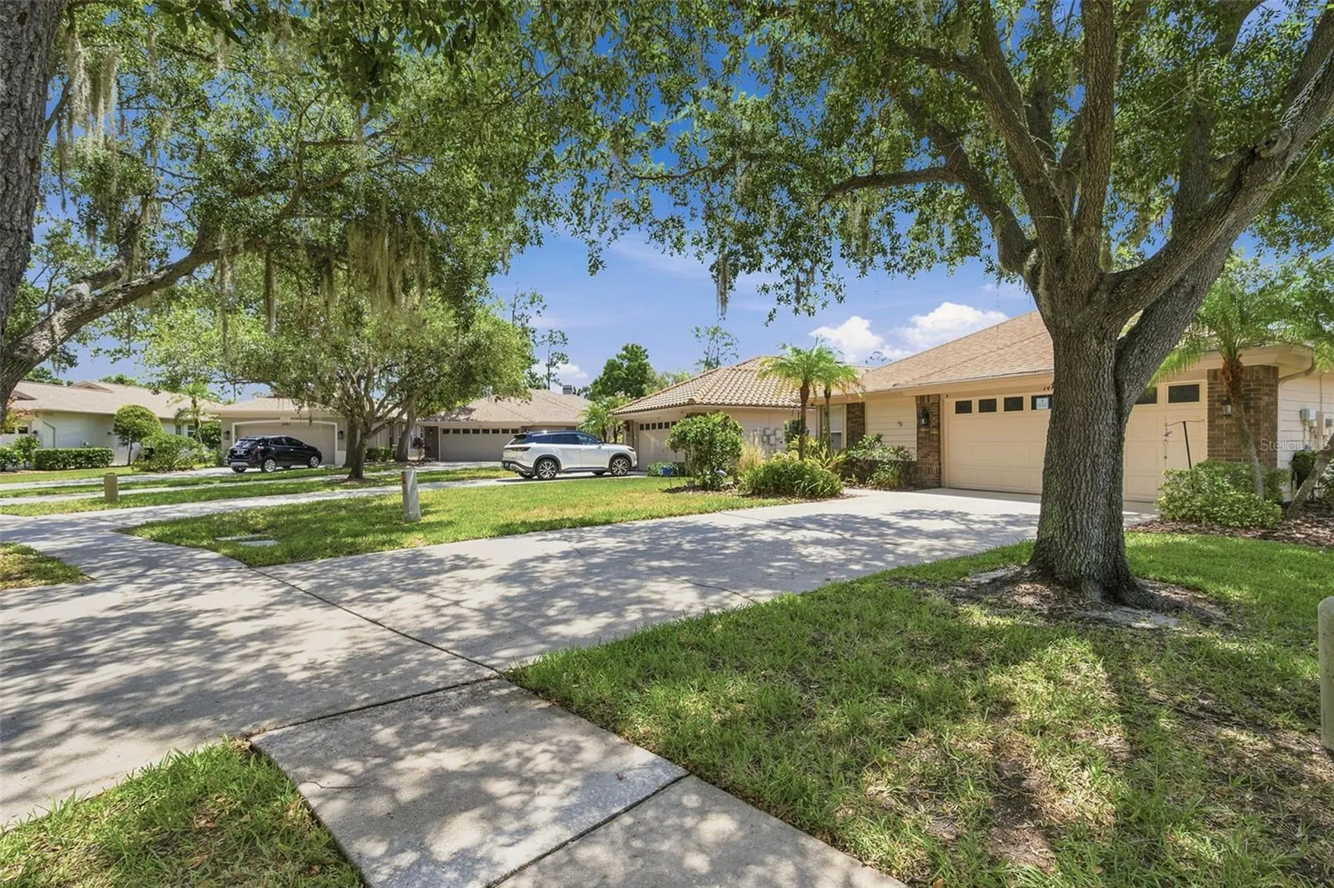 1469 Riverdale Drive Oldsmar FL 34677