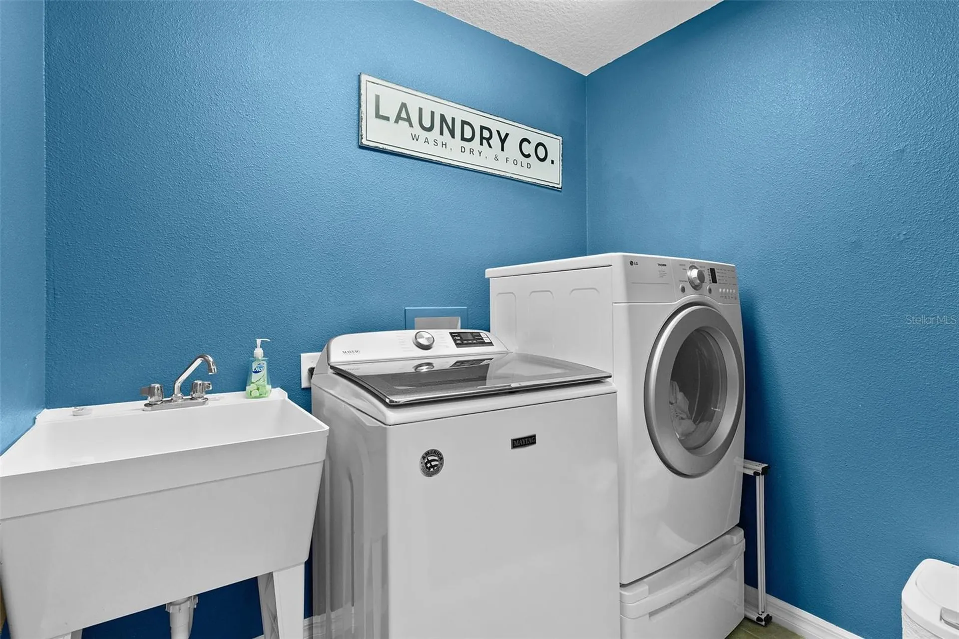 1668 Plum Branch Terrace The Villages FL 32162