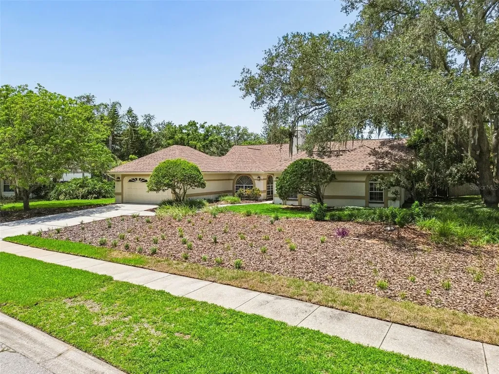 18106 Fairmead Court Lutz FL 33548