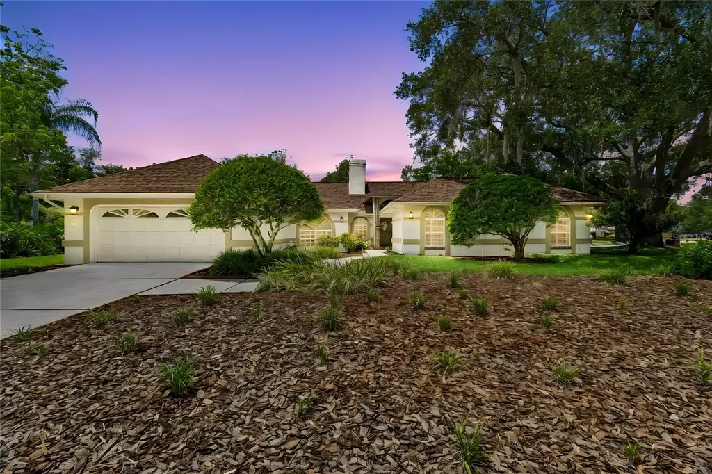 18106 Fairmead Court Lutz FL 33548