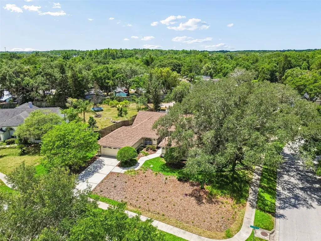 18106 Fairmead Court Lutz FL 33548