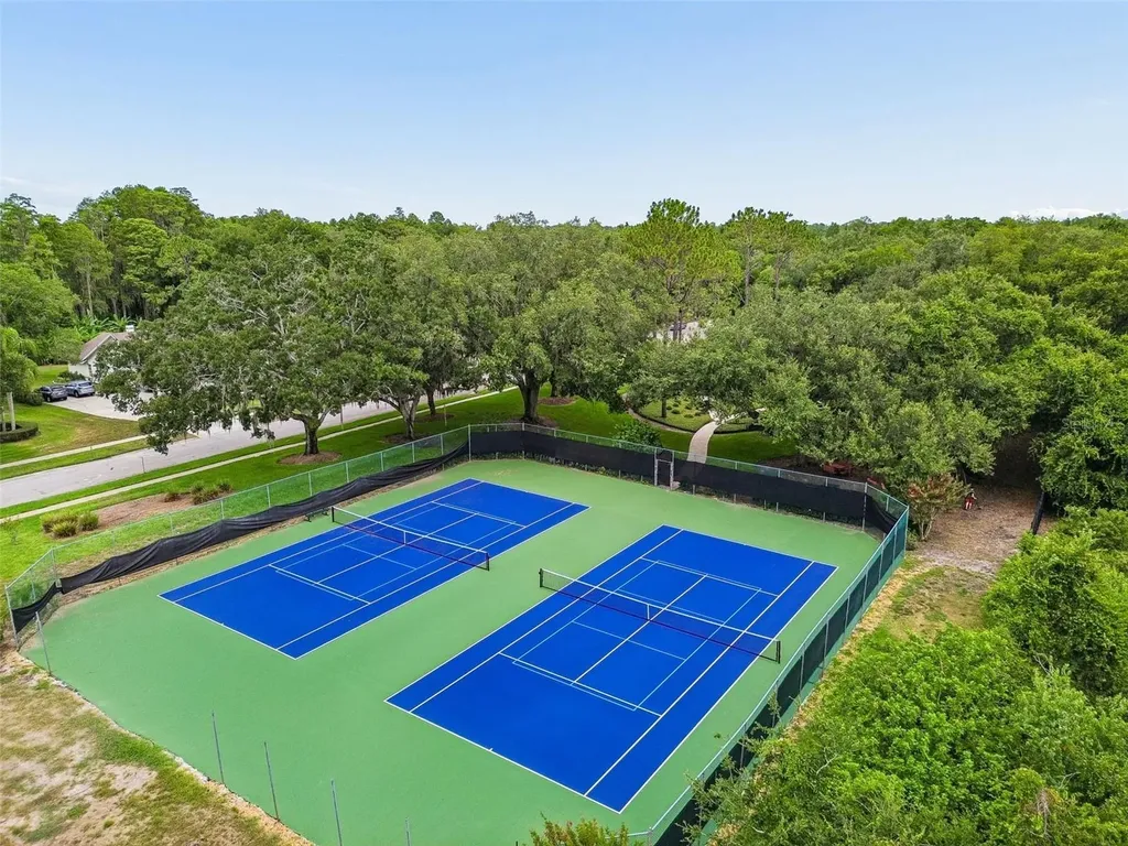 18106 Fairmead Court Lutz FL 33548