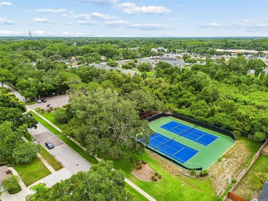 18106 Fairmead Court Lutz FL 33548