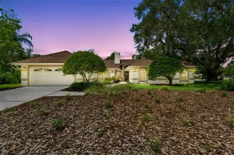 18106 Fairmead Court Lutz FL 33548