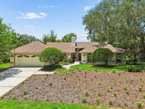 18106 Fairmead Court Lutz FL 33548