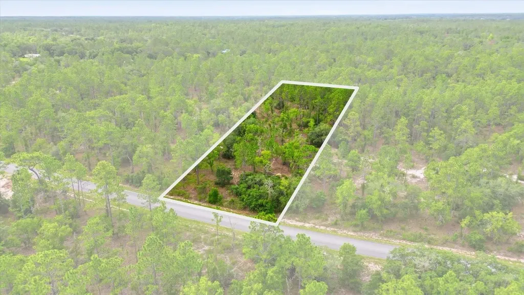 0000 SW Plaza Court Dunnellon FL 34431
