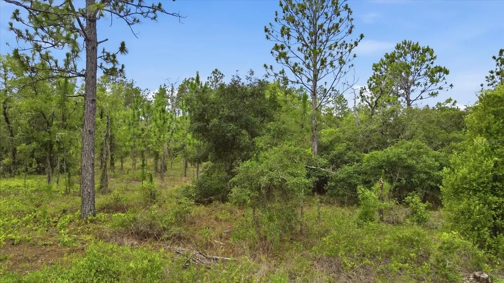 0000 SW Plaza Court Dunnellon FL 34431