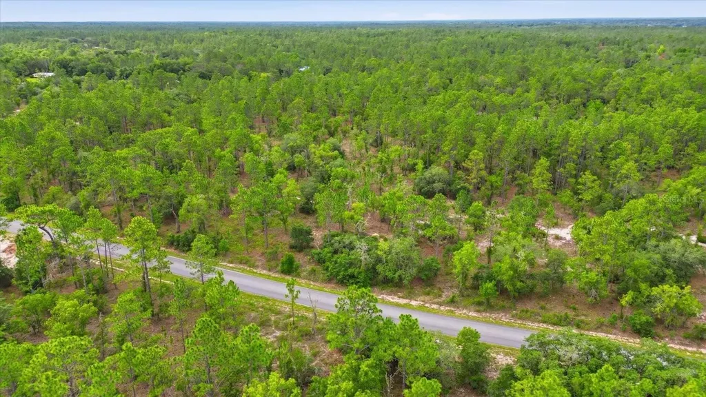 0000 SW Plaza Court Dunnellon FL 34431