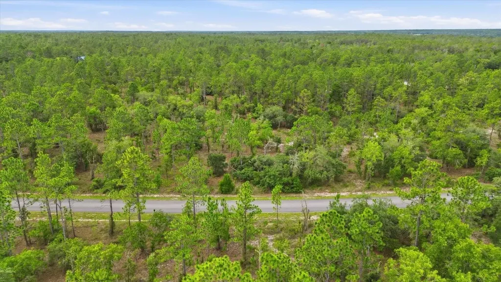 0000 SW Plaza Court Dunnellon FL 34431